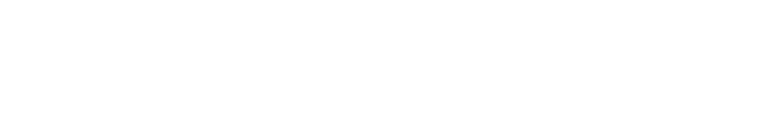 Friedmann GmbH